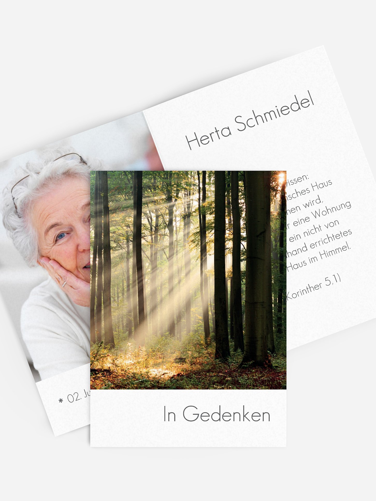 Sterbebild Lichtung