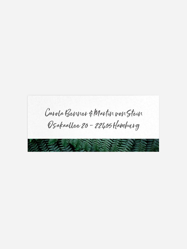 Absenderaufkleber Hochzeit Styled Fern Premium