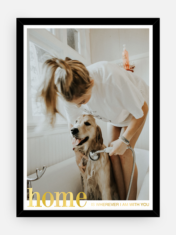 Poster Home