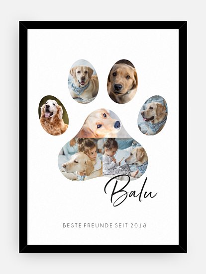 Poster Bester Freund