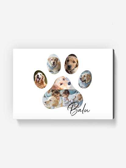 Poster Bester Freund