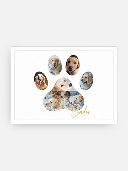 Poster Bester Freund