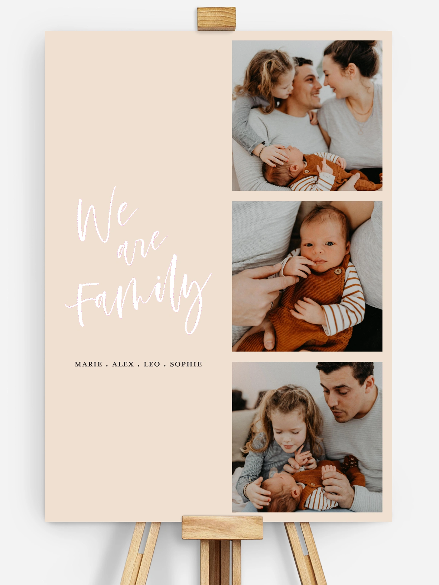 Poster Our Little Family