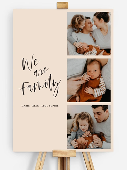 Poster Our Little Family
