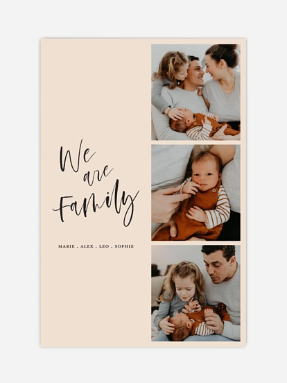 Poster Our Little Family