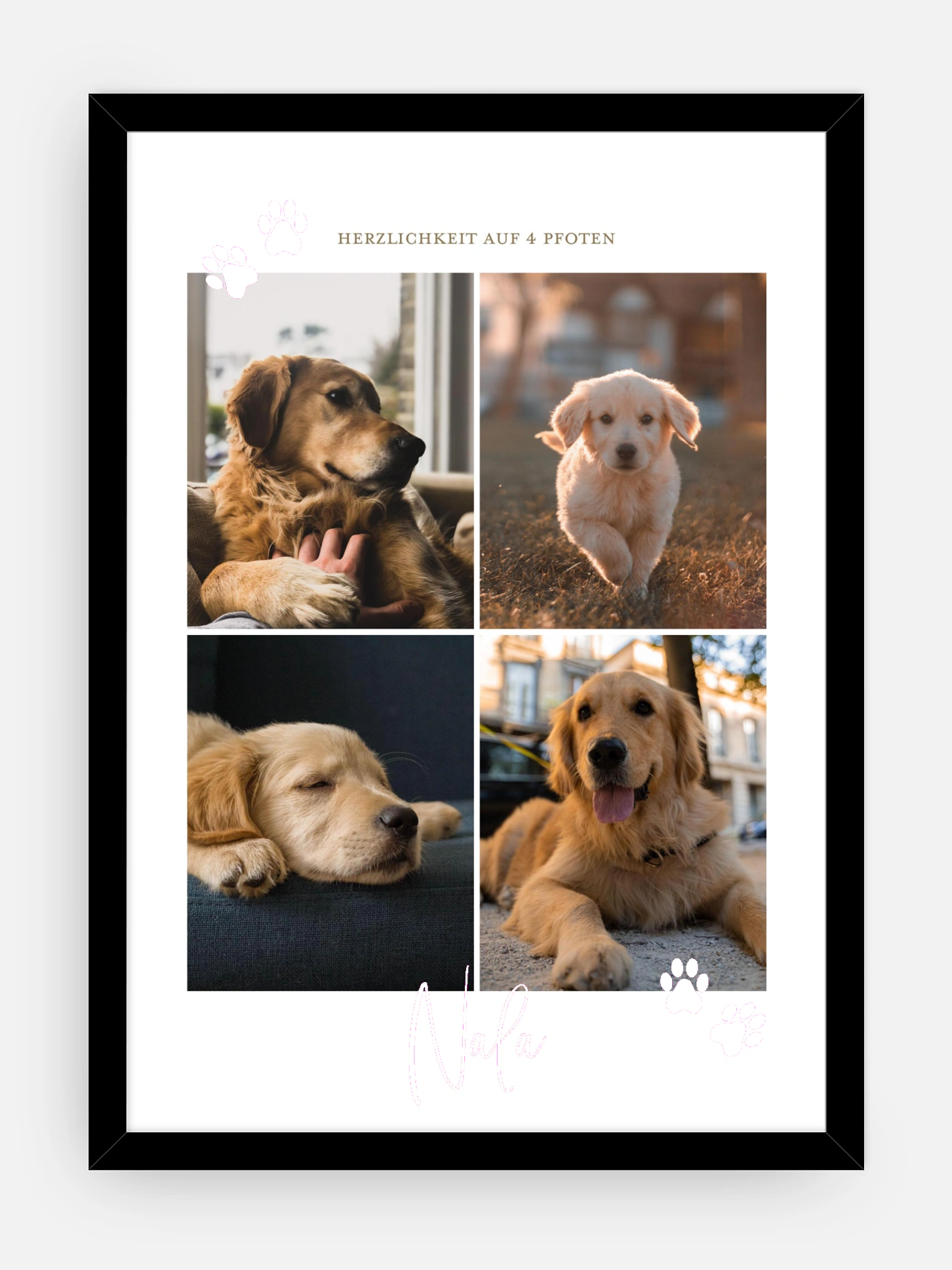 Poster Ostern Pawfect Harmony