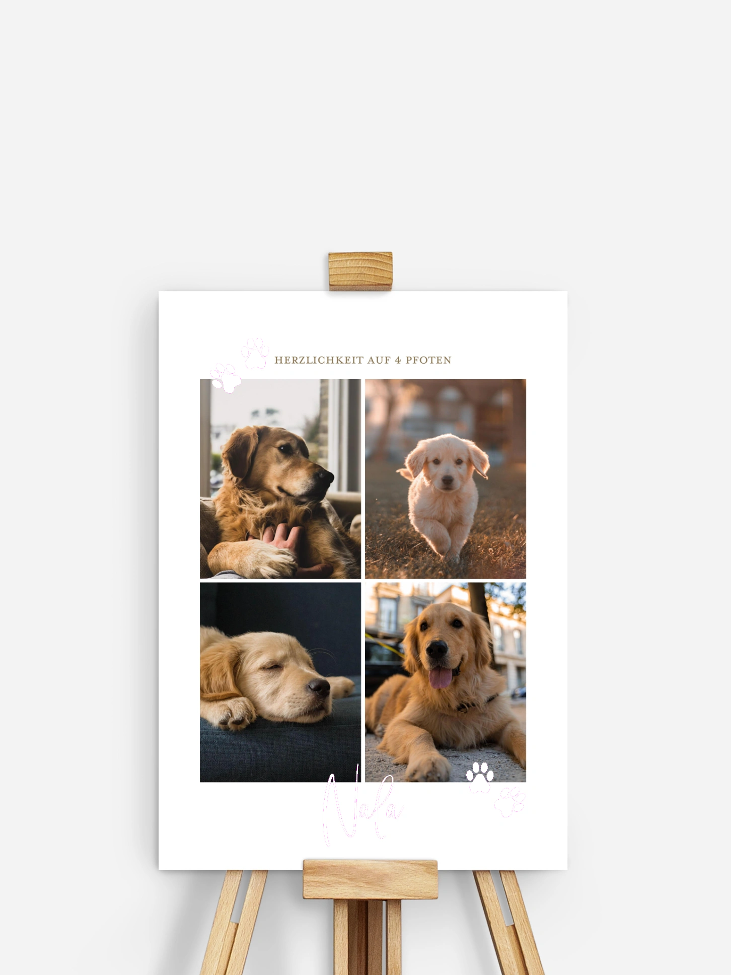 Poster Ostern Pawfect Harmony