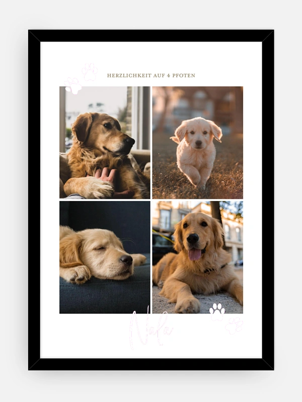 Pawfect Harmony