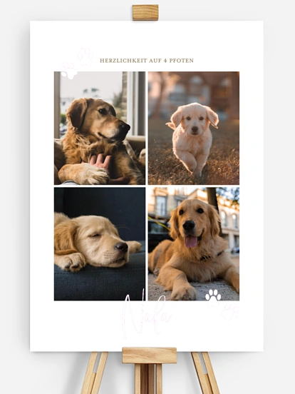 Poster Ostern Pawfect Harmony