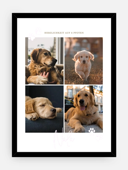 Poster Ostern Pawfect Harmony