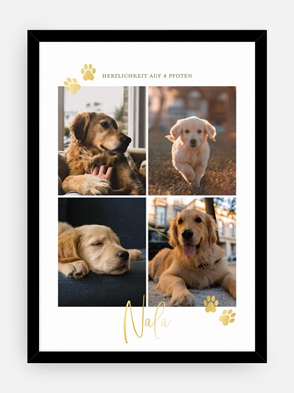 Poster Ostern Pawfect Harmony