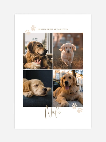 Poster Ostern Pawfect Harmony