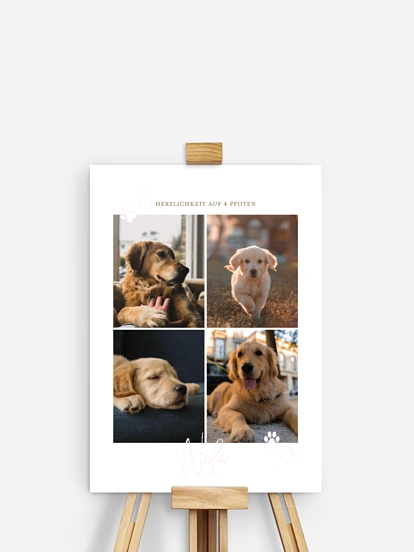 Poster Ostern Pawfect Harmony