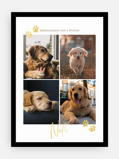 Poster Ostern Pawfect Harmony