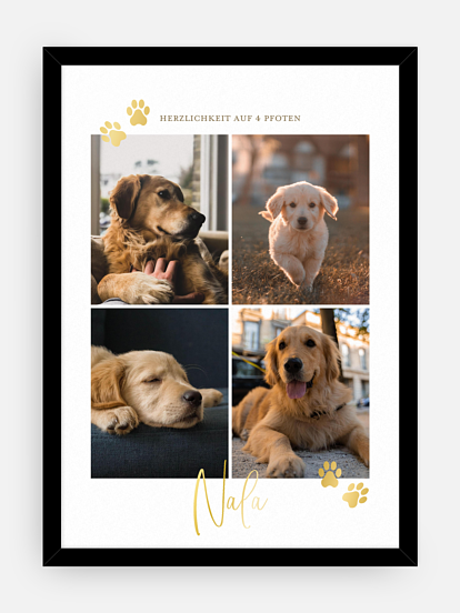 Poster Ostern Pawfect Harmony