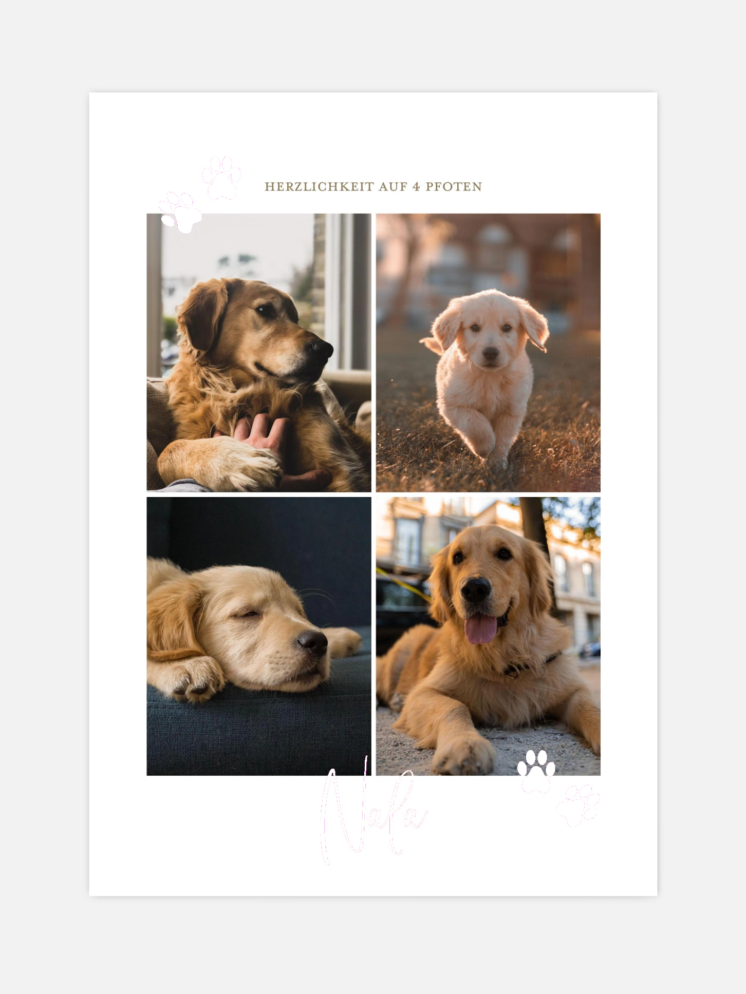 Poster Pawfect Harmony