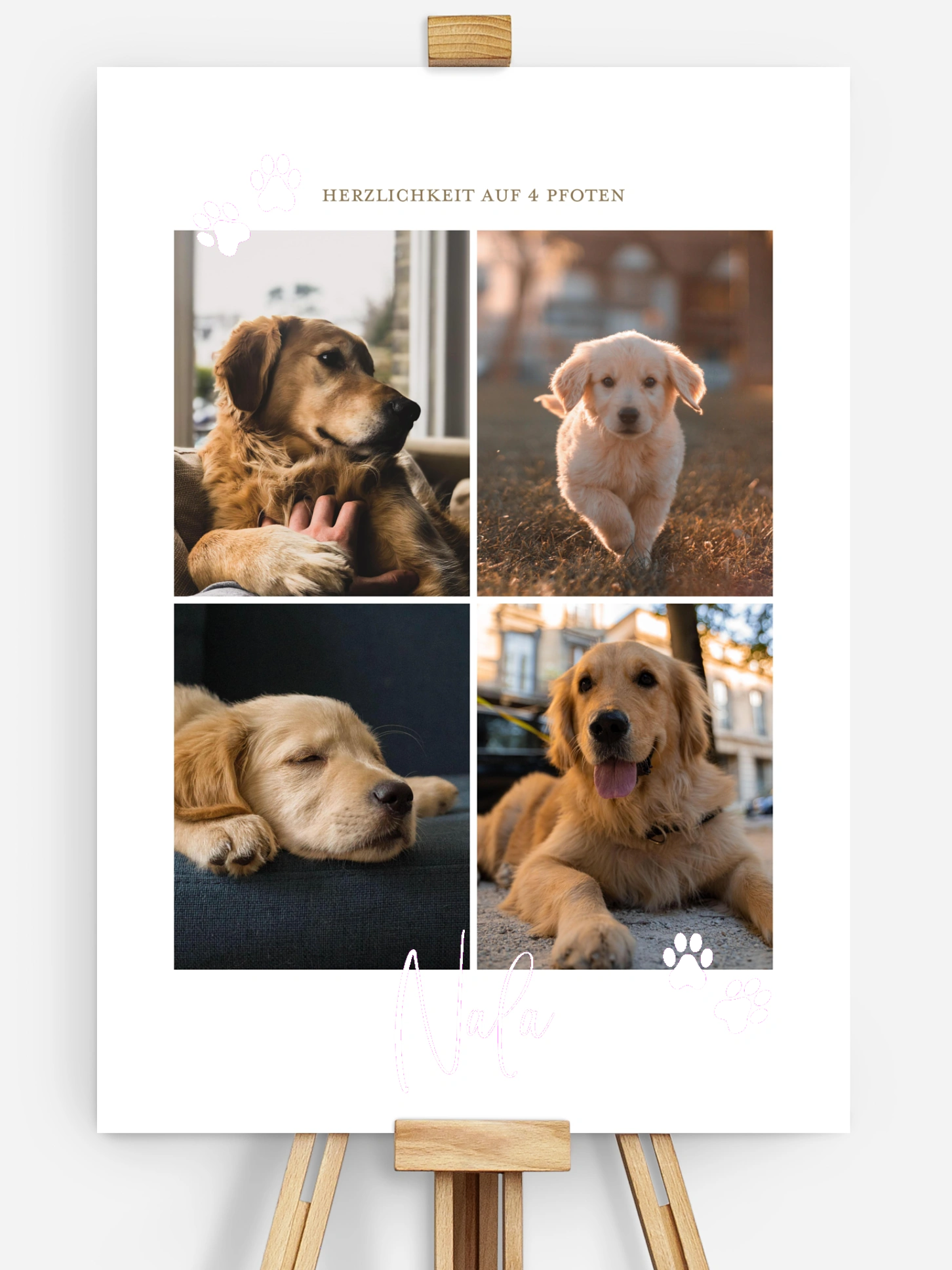 Poster Pawfect Harmony
