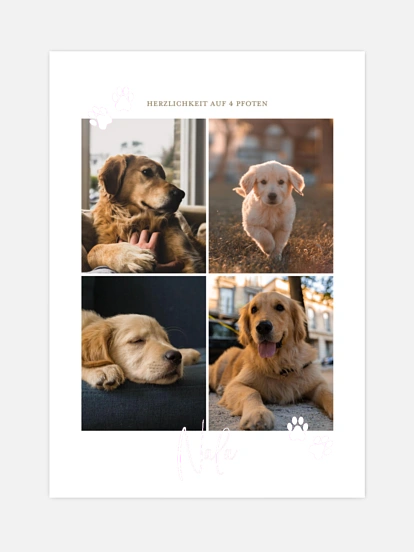 Poster Pawfect Harmony