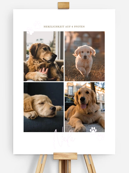 Poster Pawfect Harmony
