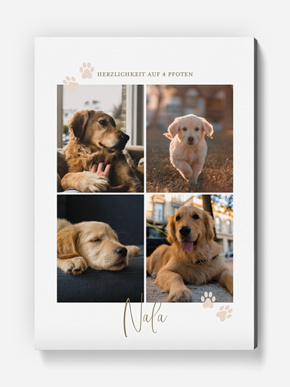 Poster Pawfect Harmony