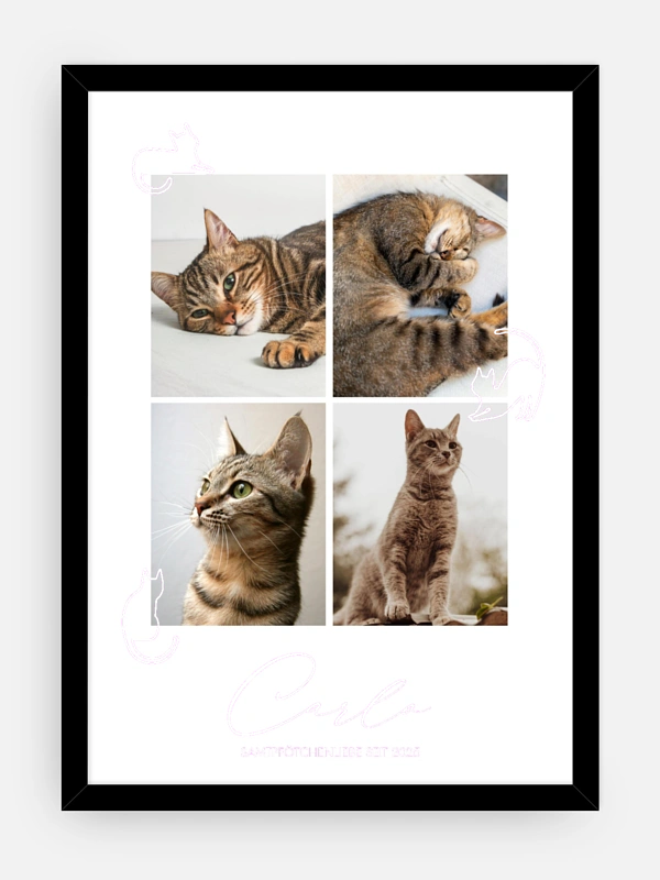 Katzenliebe