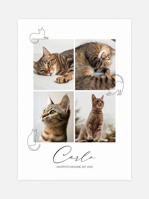 Katzenliebe