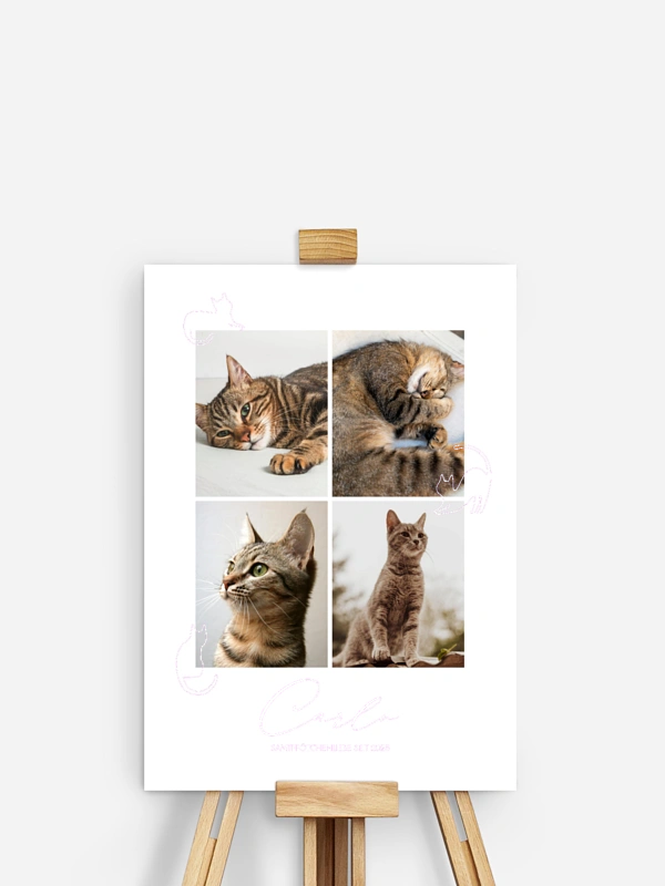 Katzenliebe