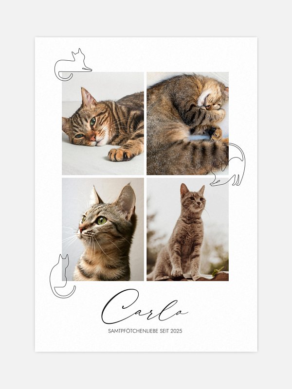 Katzenliebe