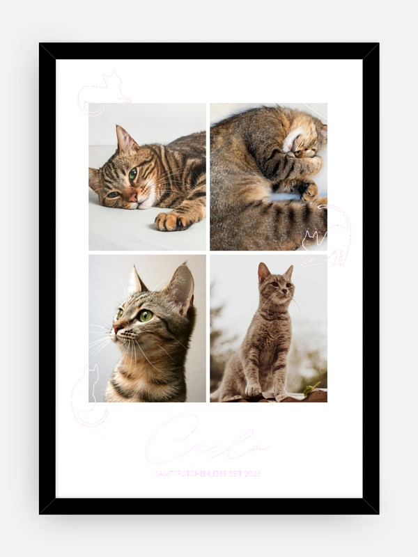Katzenliebe