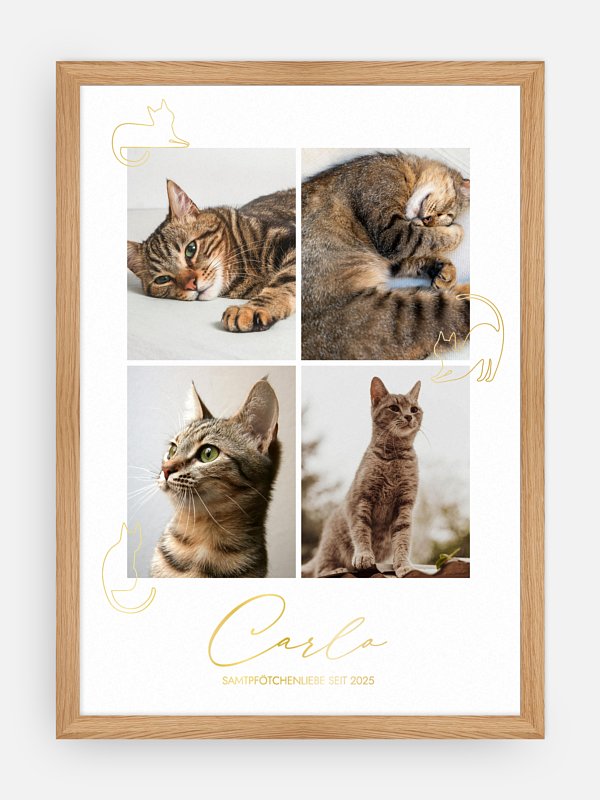 Katzenliebe