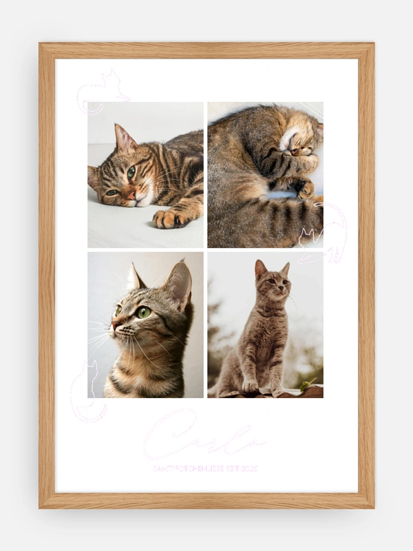Katzenliebe