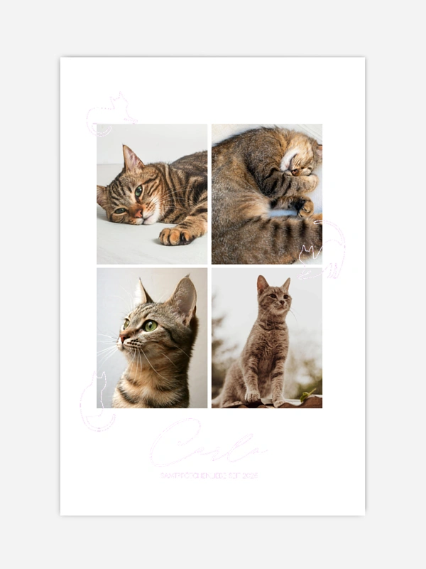 Katzenliebe