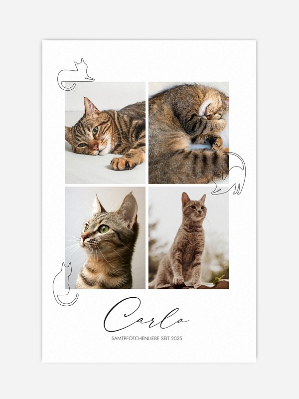 Katzenliebe