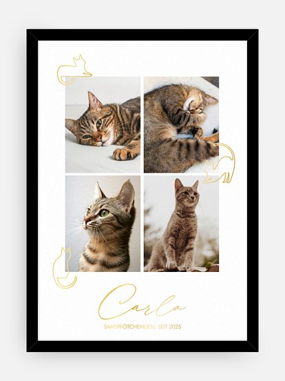 Poster Ostern Katzenliebe