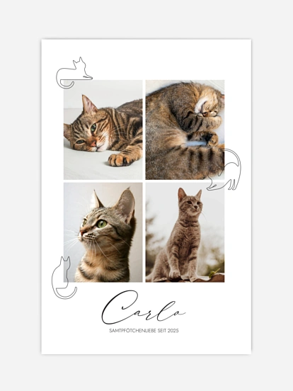 Poster Ostern Katzenliebe