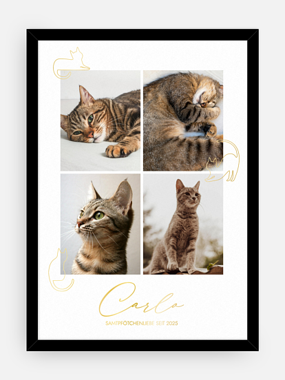 Poster Ostern Katzenliebe