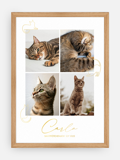 Poster Ostern Katzenliebe