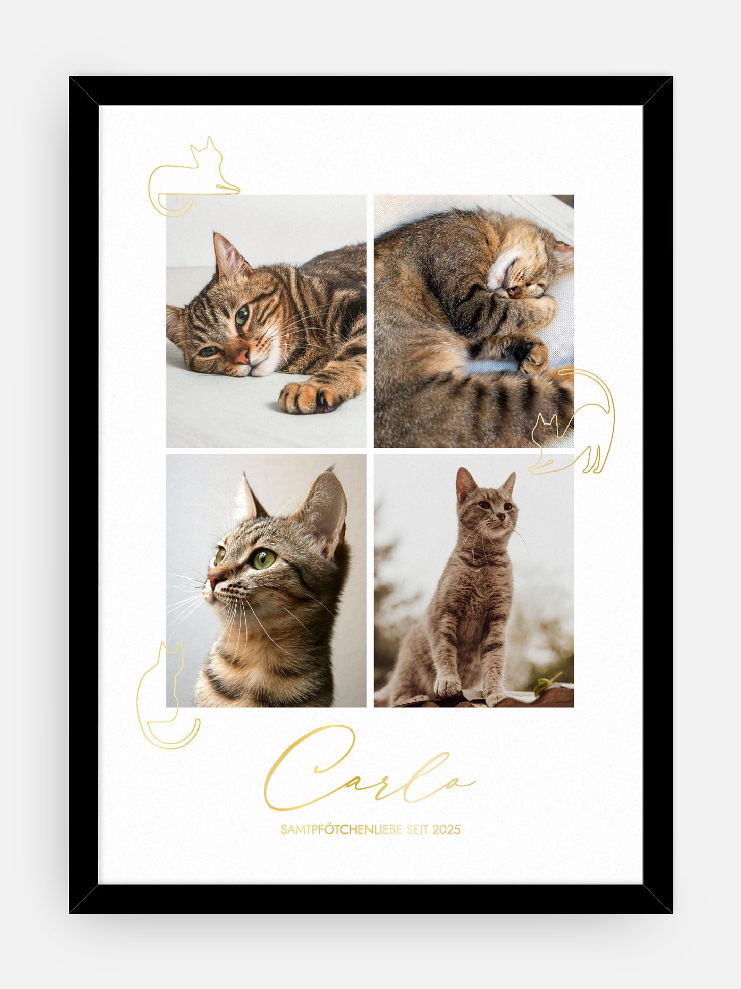 Poster Katzenliebe