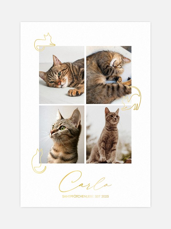 Katzenliebe