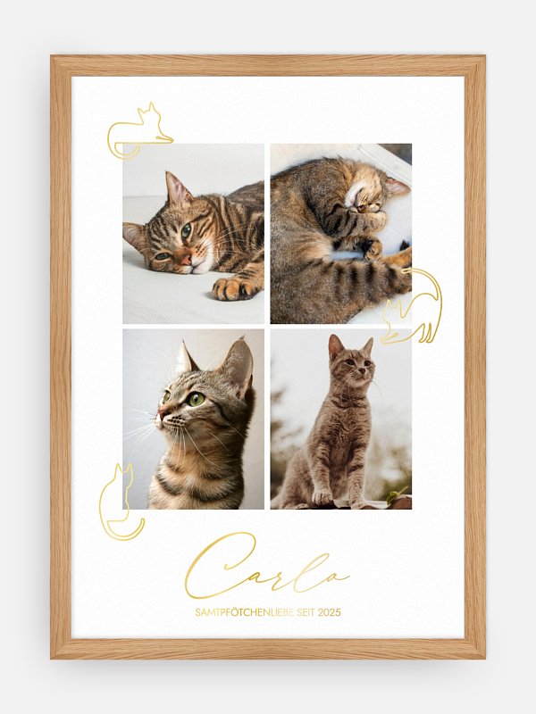Katzenliebe