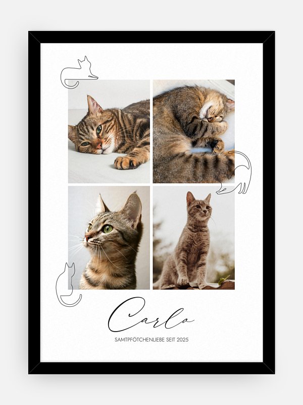 Katzenliebe