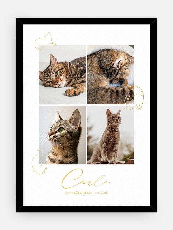 Katzenliebe