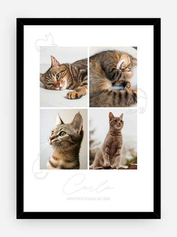 Katzenliebe