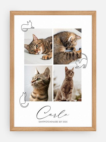 Poster Katzenliebe