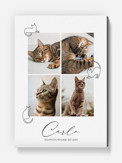 Poster Katzenliebe