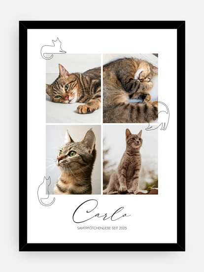 Poster Katzenliebe