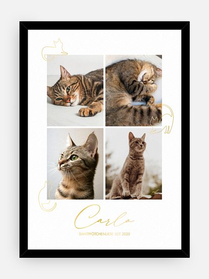 Poster Katzenliebe