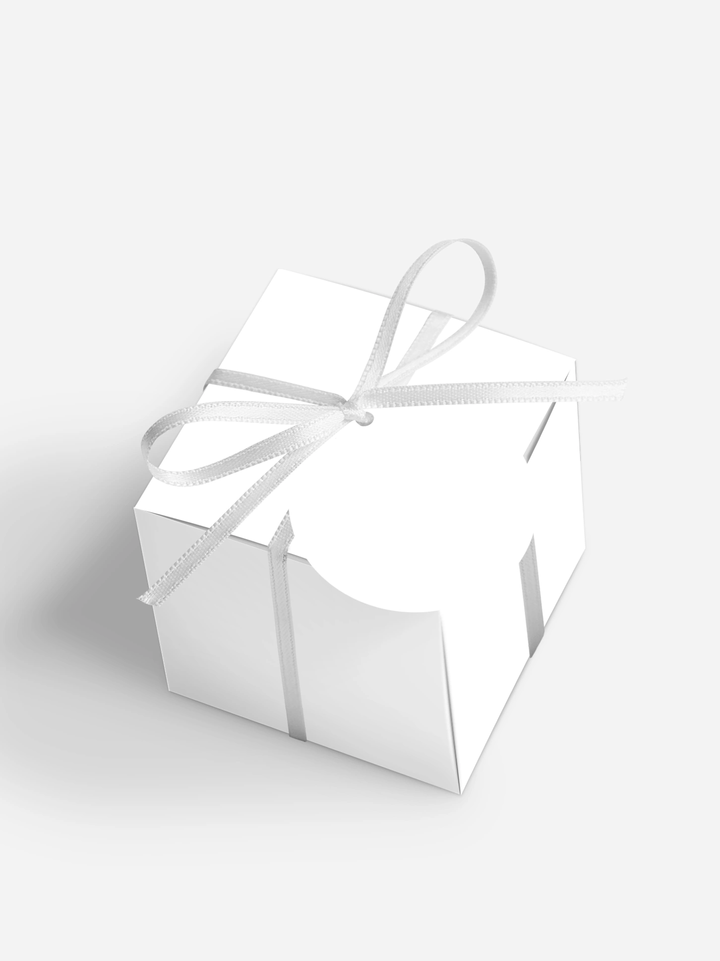 Gastgeschenkbox Formatvorlage
