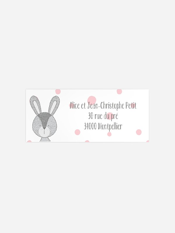 Baby bunny