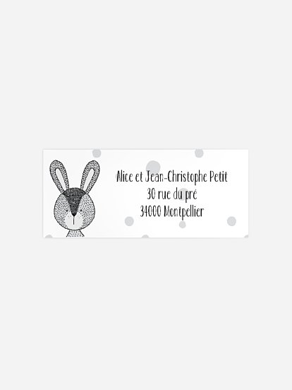 Baby bunny Baby bunny